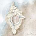 Water's Edge Series - Conch Shell Modern Watercolor 1 by Audrey Jeanne by Audrey Jeanne Roberts