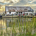 Watkins Dock Ground Level by Jerry Gammon