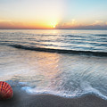 Waves and Shells Photograph by Debra and Dave Vanderlaan Waves and Shells Photograph by Debra and Dave Vanderlaan