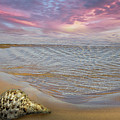 Waves and Shells II Photograph by Debra and Dave Vanderlaan Waves and Shells II Photograph by Debra and Dave Vanderlaan