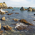 Waves and Stones by Gary Geddes
