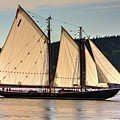 We are sailing Photograph by David Matthews We are sailing Photograph by David Matthews