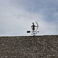 Weather vane Photograph by Annamaria Frost Weather vane Photograph by Annamaria Frost