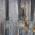 Weathered Boards Photograph by Karen Rispin Weathered Boards Photograph by Karen Rispin
