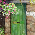 Weathered door and flowers Painting by Rebecca Matthews Weathered door and flowers Painting by Rebecca Matthews