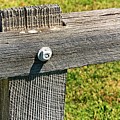 Weathered Fence Photograph by David Desautel Weathered Fence Photograph by David Desautel
