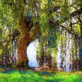 Weeping Willow Painting by Jane Small Weeping Willow Painting by Jane Small