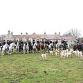 Welburn Meet Photograph by Mark Egerton