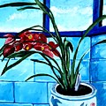 Welcome Flower by Andrew Johnson Welcome Flower by Andrew Johnson