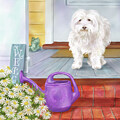 Welcome Home Terrier by Shari Warren