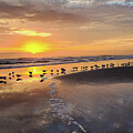 Welcoming a New Day  by Susie Loechler