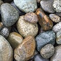 Wet Rocks 2 by Vicki Hone Smith