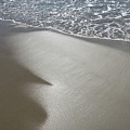 Wet sand, sea water and reflections of sunlight Photograph by Adriana Mueller Wet sand, sea water and reflections of sunlight Photograph by Adriana Mueller