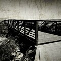 WetLand Park by Cherry Vercher