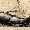 Whale #2 Digital Art by Nickleen Mosher Whale #2 Digital Art by Nickleen Mosher