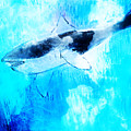 Whale Art Drawing by Anna Adams Whale Art Drawing by Anna Adams