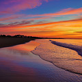 What a Morning Photograph by Penny Polakoff What a Morning Photograph by Penny Polakoff