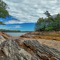 What a View Photograph by Penny Polakoff What a View Photograph by Penny Polakoff