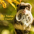 What Is Your Name Mixed Media by Nancy Ayanna Wyatt What Is Your Name Mixed Media by Nancy Ayanna Wyatt