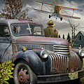 What's the Story by Randall Nyhof