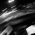 Wheee Photograph by JJ Whitley Wheee Photograph by JJ Whitley