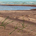 Where Land Meets Lake - Indiana Dunes National park by Nikolyn McDonald