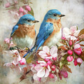 Where The Bluebirds Bloom by Tina LeCour