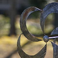 Whirligig Photograph by Heather E Harman Whirligig Photograph by Heather E Harman