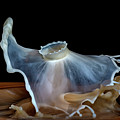 Whirling Dervish Photograph by Michael McKenney Whirling Dervish Photograph by Michael McKenney