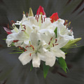 White Bouquet Photograph by Brian Watt White Bouquet Photograph by Brian Watt