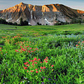 White Cloud Mountains Idaho Panoramic Photograph by Leland D Howard