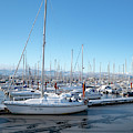 White marina Photograph by Canadart - White marina Photograph by Canadart -