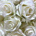 White Roses Photograph by Karen Zuk Rosenblatt White Roses Photograph by Karen Zuk Rosenblatt