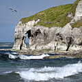 Whiterock Cliffs by Steven Nelson