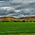 Wide Open Spaces Photograph by Cathy Kovarik Wide Open Spaces Photograph by Cathy Kovarik