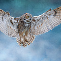 Wide Open Wings Photograph by Nina Stavlund Wide Open Wings Photograph by Nina Stavlund