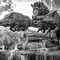 Hogs Running Wild At The Arkansas Football Stadium - Monochrome Panorama Photograph by Gregory Ballos