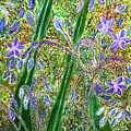 Wild Borage by Polly Castor