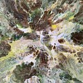 Wild Earth Abstract Painting Painting by Amelia Pearn Wild Earth Abstract Painting Painting by Amelia Pearn