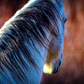 Wild Horse No. 2 Photograph by Craig J Satterlee Wild Horse No. 2 Photograph by Craig J Satterlee