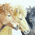 Wild Horses by Laurel Best