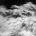 Wild Waters by Stan Weyler
