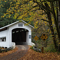 Wildcat Covered Bridge by Ken Dietz