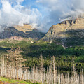 Wildfire Destruction  by Robert Carter