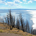 Wildfire Devastation Photograph by Robert Carter Wildfire Devastation Photograph by Robert Carter