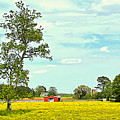 Wildflower Field Photograph by Lee Darnell Wildflower Field Photograph by Lee Darnell
