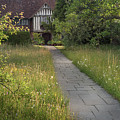 Wildflower meadow, Great Dixter House and Gardens Photograph by Perry Rodriguez Wildflower meadow, Great Dixter House and Gardens Photograph by Perry Rodriguez
