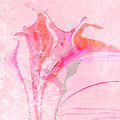 Wildflower Spring by Gina Harrison