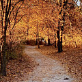 Wildwood Park Towpath by Russ Orlando