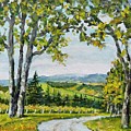 Willamette Valley Wine Country by Ingrid Dohm